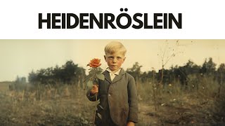 Heidenröslein Eng Lyrics [upl. by Alphonse]