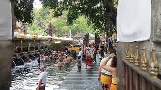 Foreign Tourists get Spiritual Purification at Tirta Empul TempleTampaksiringBali 2024 [upl. by Youlton]