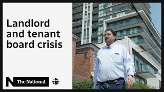 Stuck in Ontario’s landlordtenant board ‘nightmare’ [upl. by Serena]