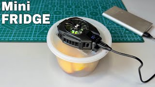 How to Make a Mini Fridge at Home  Travel Refrigerator  Miniatire Car Fridge Powered by USB [upl. by Vareck]