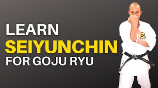 Seiyunchin Kata for Beginners Learn the Steps [upl. by Schonthal185]