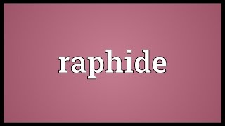 Raphide Meaning [upl. by Eniamor]