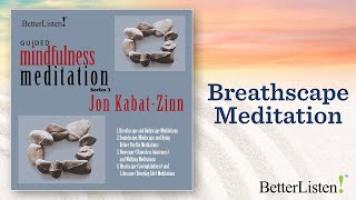 Life is right now  Jon KabatZinn on Mindfulness [upl. by Shannan171]