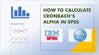 How to calculate Cronbachs alpha using SPSS [upl. by Kcirted]