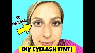 DIY EYELASH TINTING AT HOME Natural Looking Lashes [upl. by Drawde]