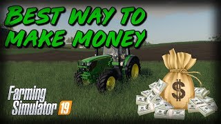 BEST WAY TO MAKE MONEY FARMING SIMULATOR 19 [upl. by Zebadiah527]