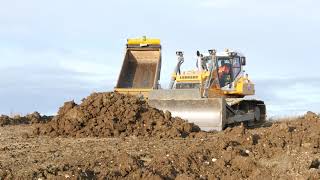 Liebherr PR736 LGP dozer [upl. by Myca]