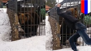 Bear attack video idiot puts his arm in cage and bear bites it off in shocking footage  TomoNews [upl. by Nnadroj714]