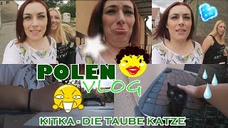 KITKA  DIE TAUBE KATZE 8 I POLEN VLOG 6 [upl. by Iveel208]