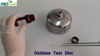 Oxidase Test Disc [upl. by Ynabe]