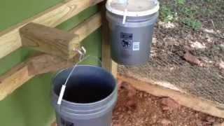 How to build DIY chicken feeder and waterer [upl. by Sirrot]