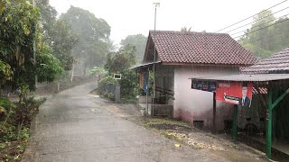 Heavy Rain Hits Villages in Indonesia  Rain and Thunder Accompany My Walks in a Beautiful Village [upl. by Etsirk225]