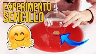 EL INCREÍBLE EXPERIMENTO SENCILLO QUE PUEDES HACER EN CASA [upl. by Effie405]