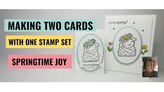 Springtime Joy Equals Double Happiness One Stamp Set Two Cards [upl. by Aley603]