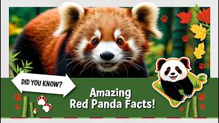 Red Pandas facts Diet Conservation and Endangered Status Explained Red Pandas Endangered Species [upl. by Ylahtan]