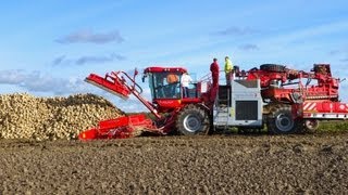 Holmer Terra Felis 2  Demo suikerbieten laden en nareinigen [upl. by Murvyn]