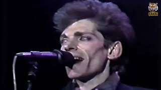 Virus  En vivo Festival Rock And Pop 1985 HD [upl. by Ansela]