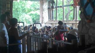 Busch Gardens Tampa Bay  Cheetah Hunt 2011 Off Ride amp Queue Walkthrough [upl. by Rimat]