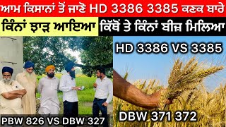 HD 3386  3385 Wheat Varieties … DBW 370  371  PBW 826 VS DBW 327 ਕਿਹੜੀ ਕਿਸਮ ਰਹੀ ਟੌਪ ਤੇ [upl. by Lardner350]