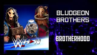 WWE Bludgeon Brothers  Brotherhood  AE Arena Effects [upl. by Carleton]