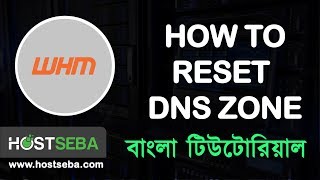 How to reset DNS Zone in WHM । WHM tutorial । Reset DNS Zone Bangla tutorial । HostSeba [upl. by Louth]