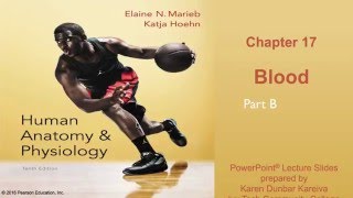 Anatomy and Physiology Chapter 17 Part B lecture Blood [upl. by Ardied]