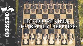 Bird Opening Horsefly Defense Shorts [upl. by Manlove]