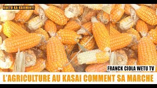 L’AGRICULTURE AU KASAI COMMENT SA MARCHEMUSHINDU KAYI WA KUENZA BUDIMI KU KASAI15 JUIN 2020 [upl. by Azitram]