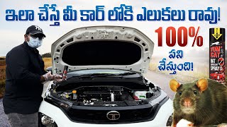 Tom Cat Rodent Repellent for Cars 🐀❌II ఎలుకలు ఇక మీ కార్ కి దూరం [upl. by Thomsen182]