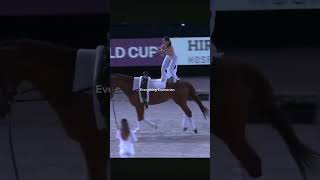 Equestrian Edit ❤️shorts horses beautiful dressage edit showjumping crosscountry horsepolo [upl. by Aihseyt]