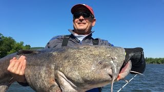 Catching Giant Flathead Catfish on the Tennessee River [upl. by Desireah933]