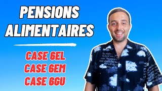 Comment déclarer les pensions alimentaires aux impôts  les cases 6EL 6EM et 6GU [upl. by Tildy]