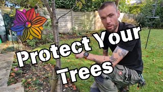 Protect Your Trees and Prevent Girdling [upl. by Mini251]