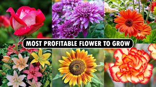 Most profitable Flower to Grow  Flower Farming Business [upl. by Hares]