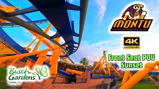 4K Montu  Inverted Coaster  Front Seat  Sunset POV  Busch Gardens Tampa Bay FL [upl. by Itsirhc]