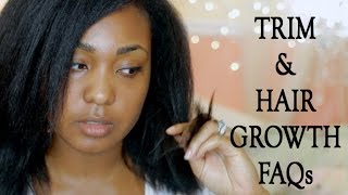 Natural Hair Growth FAQs and Trim Update [upl. by Leddy]