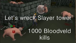 Runescape 2007  Lets wreck Slayer tower 1000 Bloodveld kills [upl. by Ahsayn]