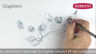 Graphitint Pencils Speed Drawing [upl. by Anaeel]