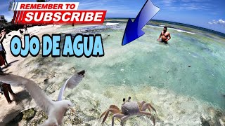 Que esta PASANDO en Playa del Carmen  Aparece OJO de AGUA en el MAR [upl. by Yecad37]