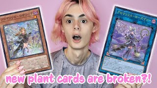 NEW PLANTS Aroma Plant Combos  Deck Profile [upl. by Acinomal64]