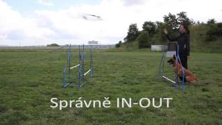 Agility Online  Správný a špatný pohyb při skokové gymnastice [upl. by Ahseyk101]