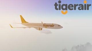 A Tigerair 虎航 737 In Cabin Crew Simulator [upl. by Gracye]