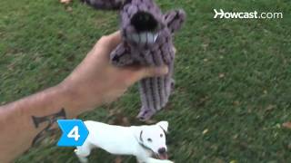 How to Play 6 Games with Your Dog [upl. by Torry]