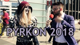 Pyrkon 2018  FELICIA COSPLAYE SUCHARY ZŁODZIEJE [upl. by Enetsirhc]