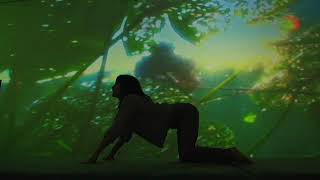 Elena Brower at Pipilotti Rist MoMA [upl. by Urian606]