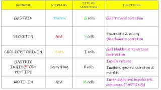 Gastrointestinal hormones Chapter 63 part 5 Guyton and Hall Physiology [upl. by Anirual456]