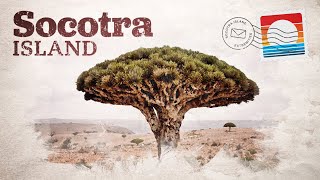 Socotra What Life is Like on an Island Annexed by the UAE [upl. by Karena]