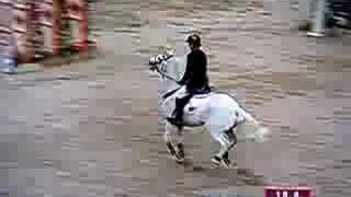 hoys  148cm showjumper of the year [upl. by Aicenev214]