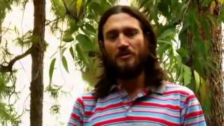 John Frusciante Interview on Creativity amp Inspiration [upl. by Ieluuk428]