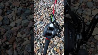 My new frogging setup FavoriteRodsUSA Absolute topwaterbassfishing bassfishing bigbass [upl. by Attenrev]